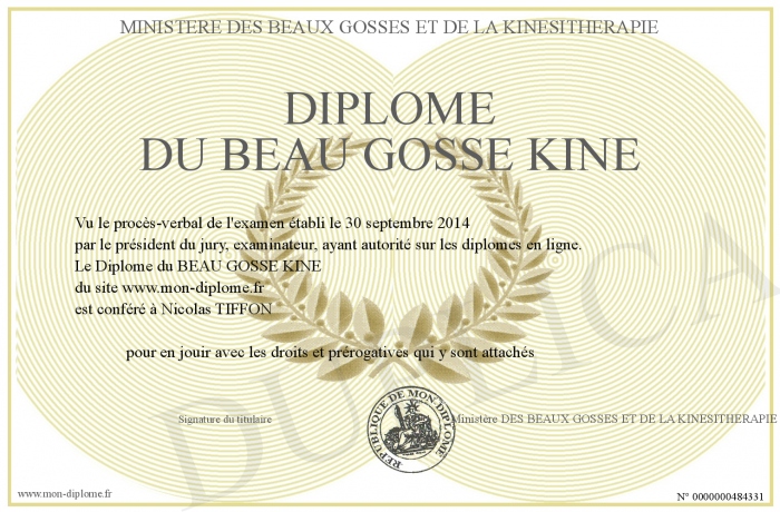 diplome universitaire kine